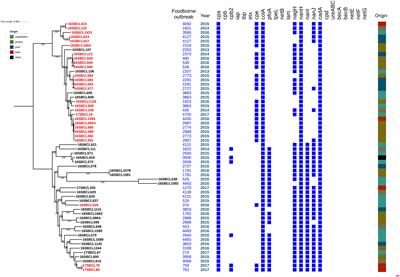 Large-Scale Genomic Analyses and Toxinotyping of Clostridium perfringens Implicated in Foodborne Outbreaks in France